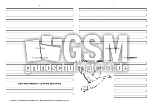 Stockente-Faltbuch-vierseitig-2.pdf